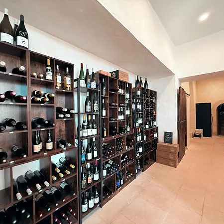 Le Logis De L'abbaye De Savin Saint-Savin (Vienne)